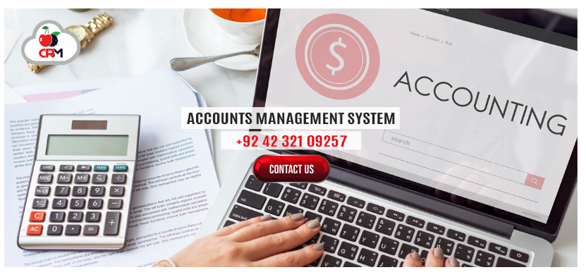 Accounts Management Software System