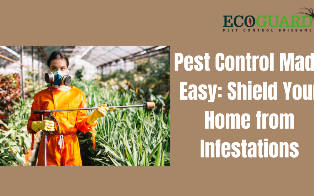 Pest Control Made Easy: Shield Your Home from Infestations