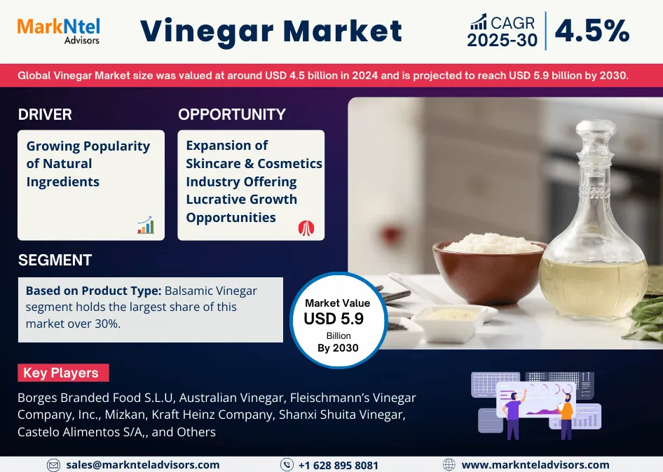 Global Vinegar Market