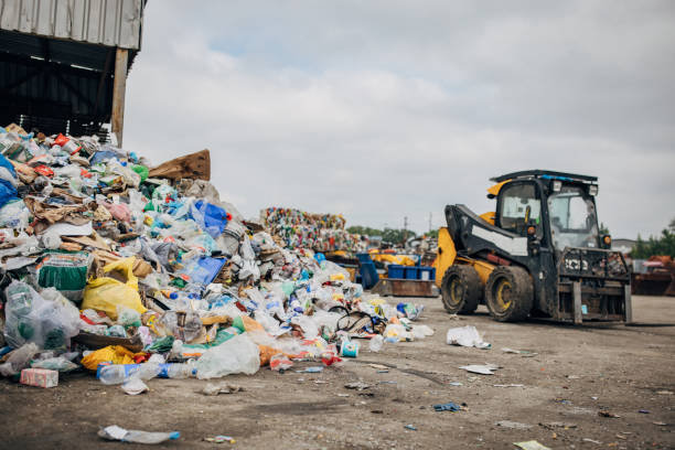 Garbage Disposal Services in Pinellas Park FL