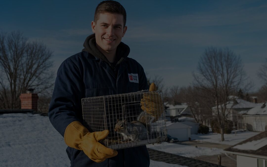residential pest control