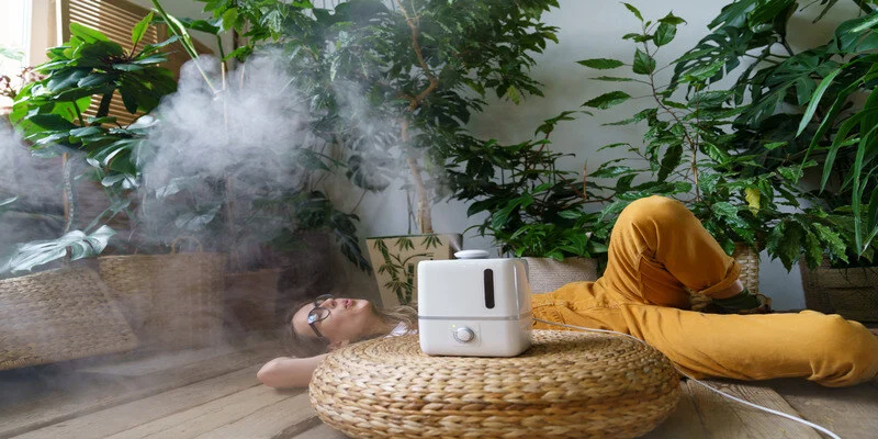 Best Air Purifiers