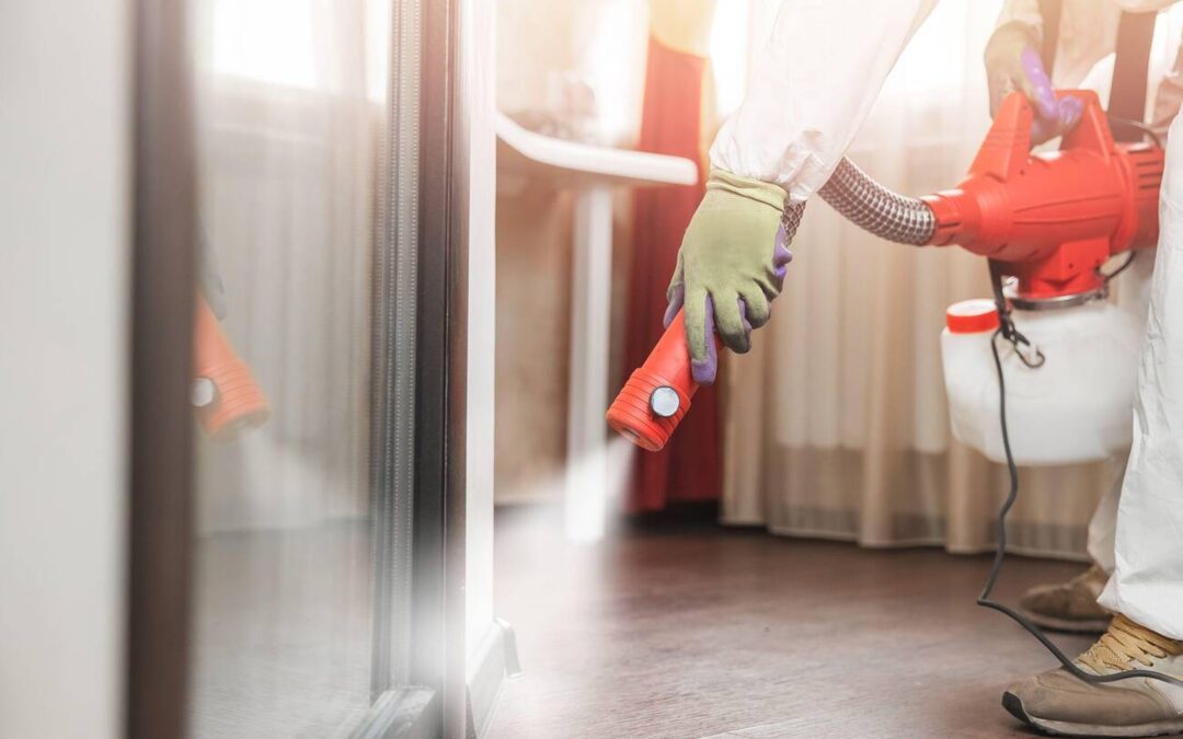 Pest control melbourne