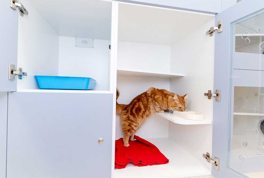 Milsons Point vet clinic